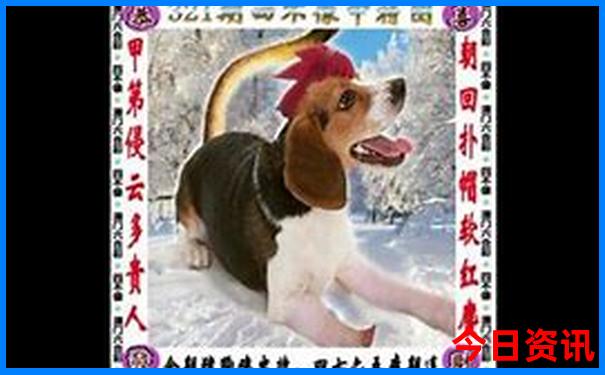 嵊泗岛自驾游旅游攻略