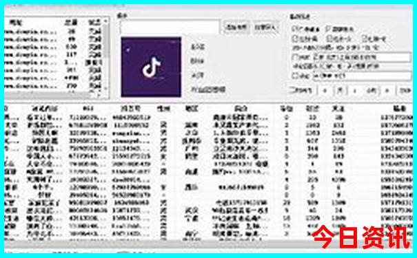 城市美女排名前十名